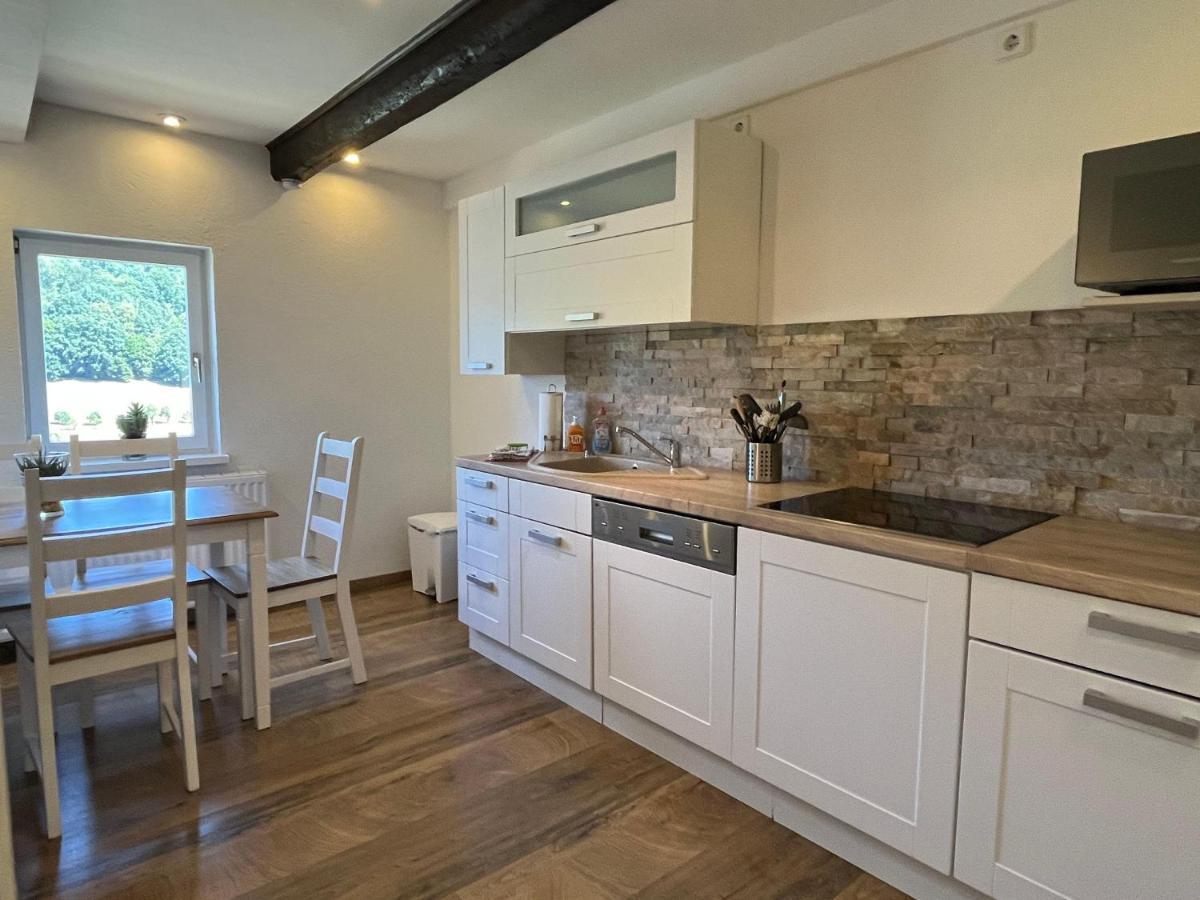 Saechsische-Schweiz-Ferienhaus-Wohnung-1-Mit-Elbblick-Sauna-Und-Kamin Кёнигштайн-ан-дер-Эльбе Экстерьер фото